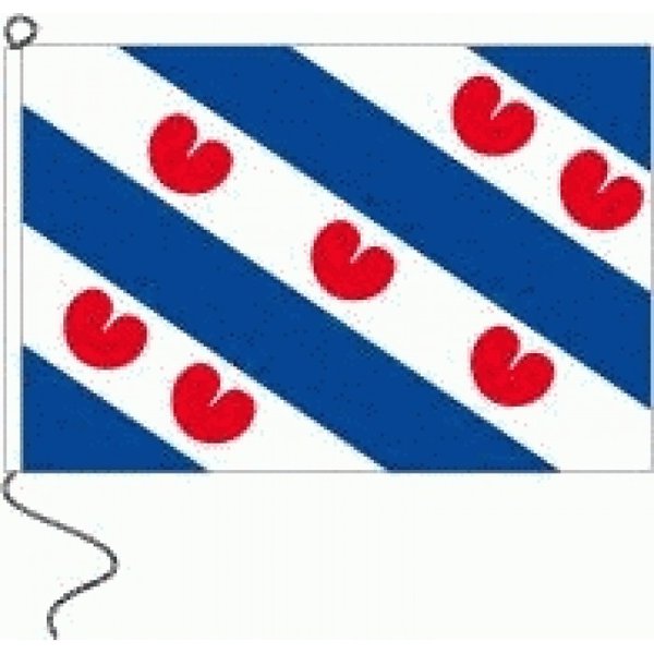 Vlag Friesland 100x150